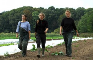 3 meiden uit hemmen