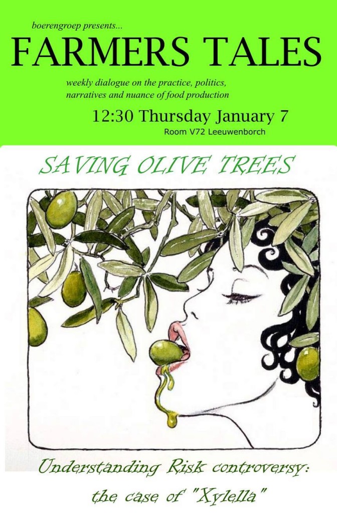 160107 Olive Trees