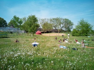 creative community garden