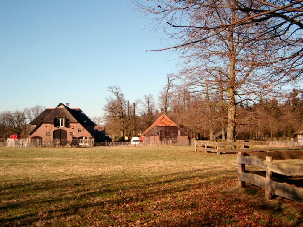 Makandra
