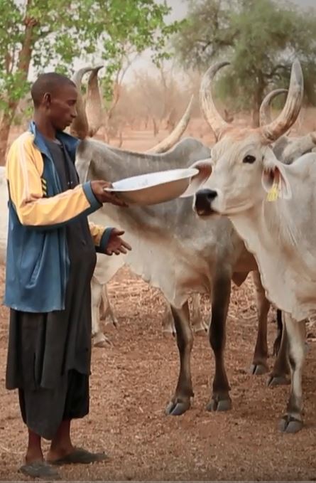 Agroecology 3