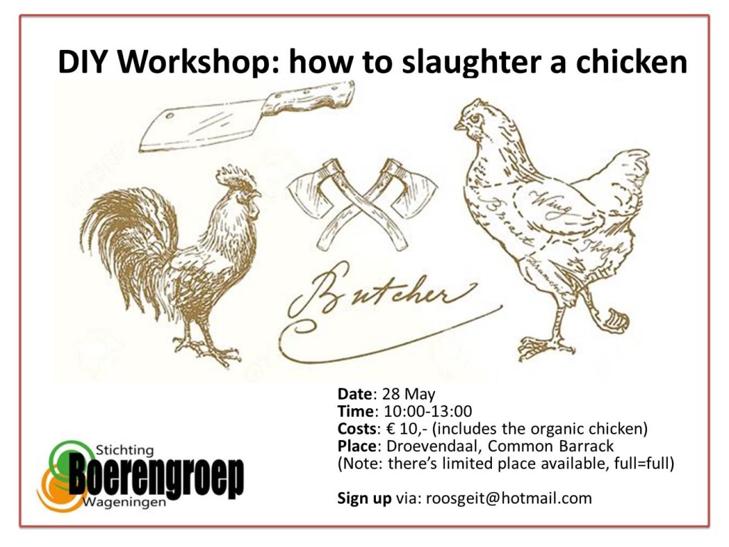 poster chicken workshop