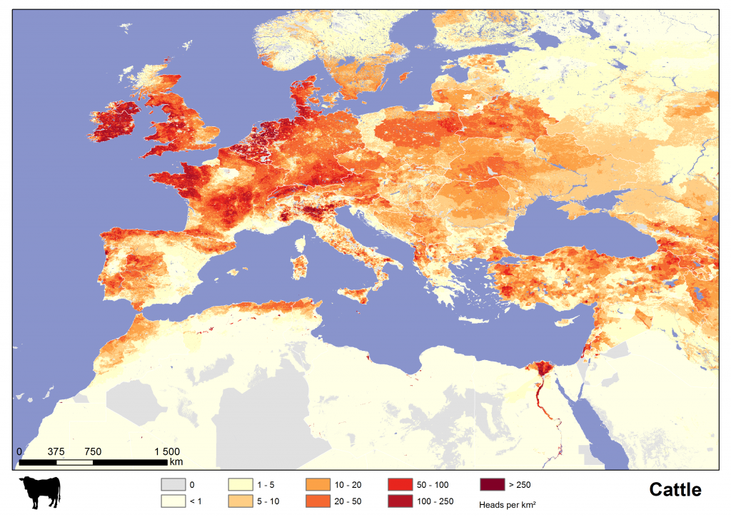 Cattle in Europe