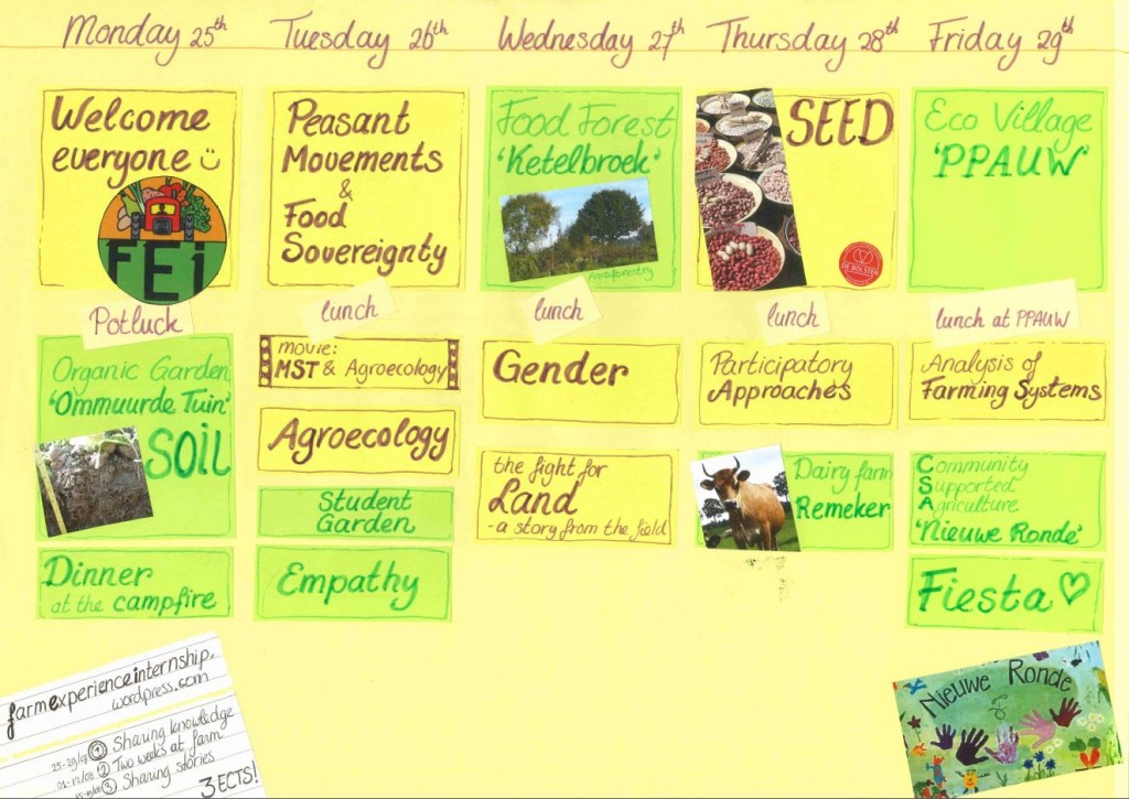 FEI schedule