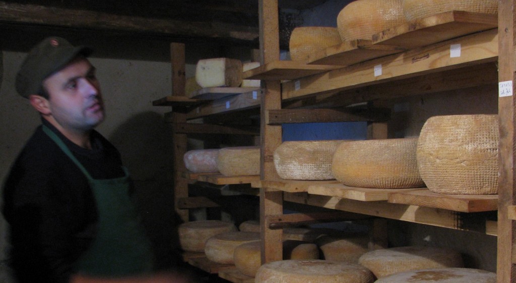 cheese-alunis