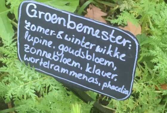 Excursion to the Ommuurde Tuin: report
