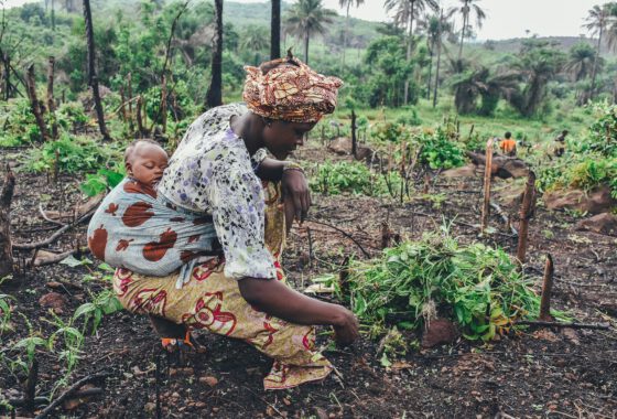 Women’s Rights in Agriculture