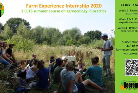 FEI 2020 : registration is now open !