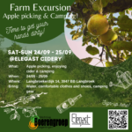 Farm Excursion: Apple picking at Elegast Cidery and Camping
