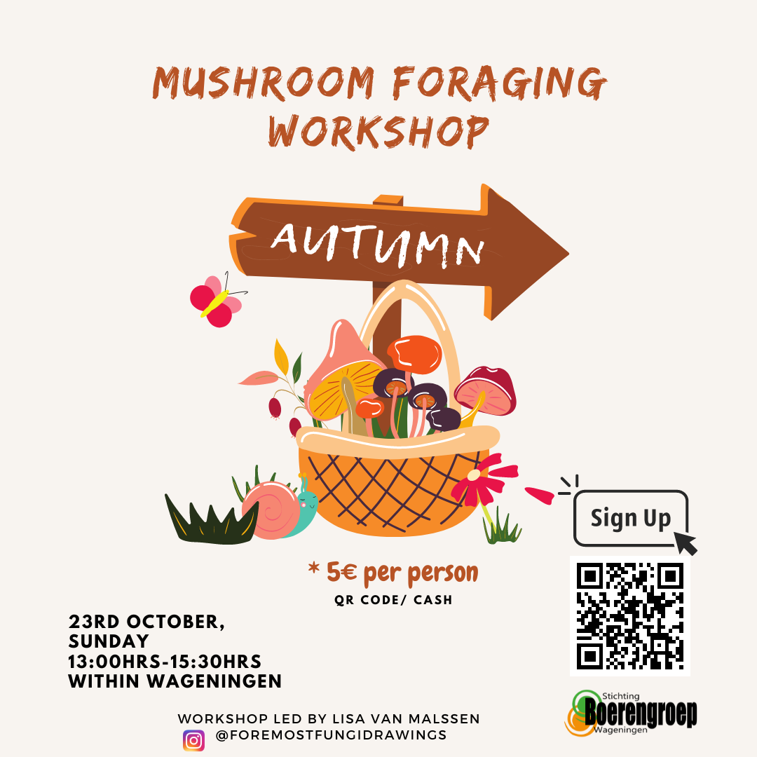 Mushroom Foraging Workshop