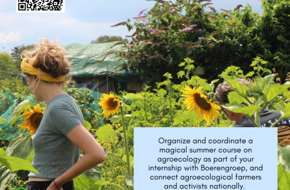 Internship Vacancy: Coordinate the Farm Experience Internship