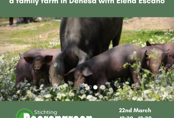 Farmer’s Tales 3: Practicing agroforestry in a family farm in Dehesa with Elena Escano.