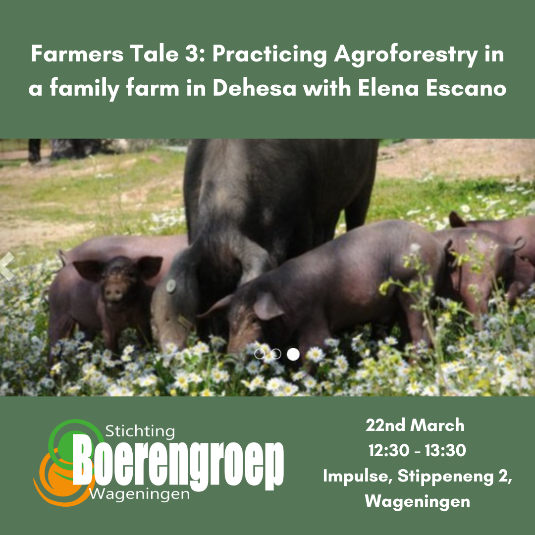 Farmer’s Tales 3: Practicing agroforestry in a family farm in Dehesa with Elena Escano.